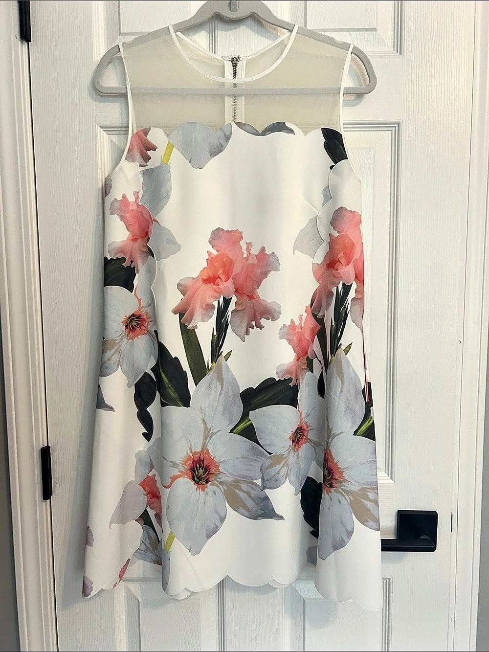 Ted Baker Cainey Floral Sorbet Scalloped Sheer Shift Dress White & Pink